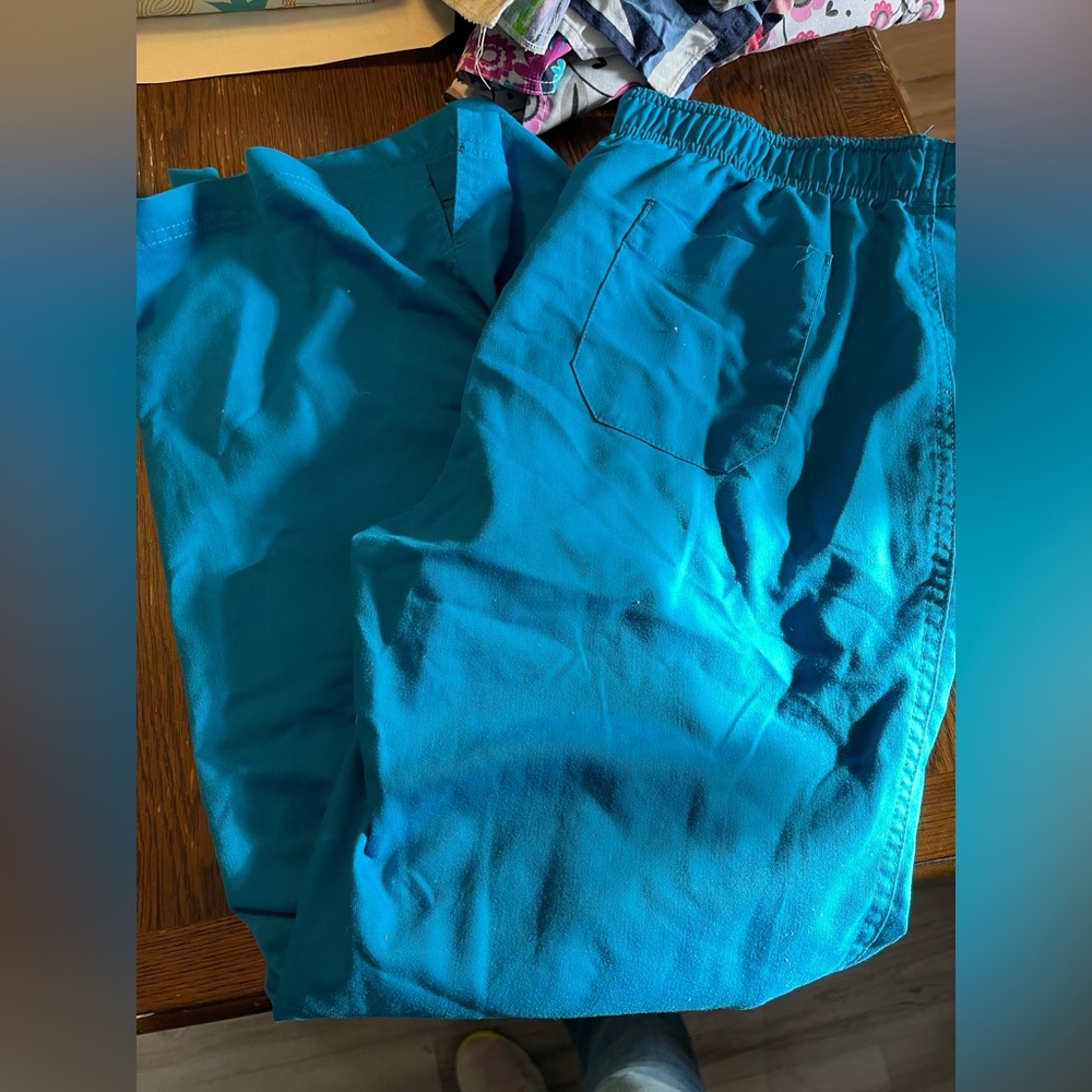 Blue greys anatomy scrub pants medium